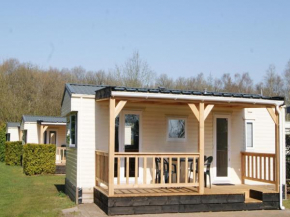 Cozy Chalet in Appelscha near the woods